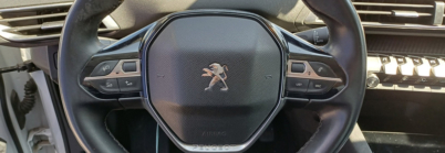 PEUGEOT 3008 ACTIVE 1.6 BLUEHDI 120 CV S/S